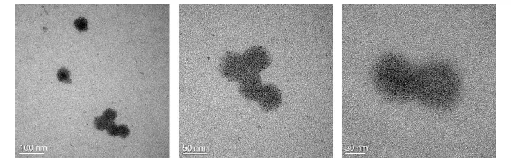 효모세포에서 발현하고 정제한 HPV18 VLP의 전자현미경 결과.