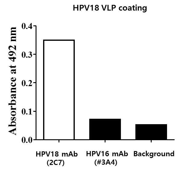 곤충 세포에서 발현하고 정제한 HPV18 VLP와 단클론항체의 반응성을 ELISA기법으로 확인한 결과.