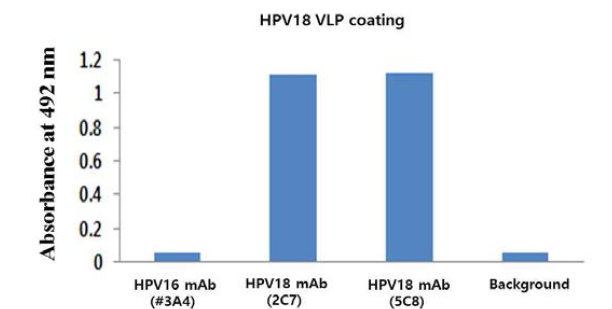 효모세포에서 발현하고 정제한 HPV18 VLP와 단클론항체의 반응성을 ELISA기법으 로 확인한 결과.