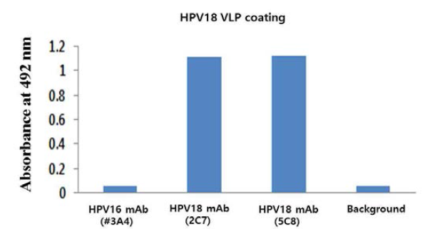 효모세포에서 발현하고 정제한 HPV18 VLP와 단클론항체의 반응성을 ELISA기법으 로 확인한 결과