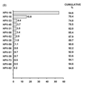 자궁경부암 발병의 원인이 되는 HPV 타입