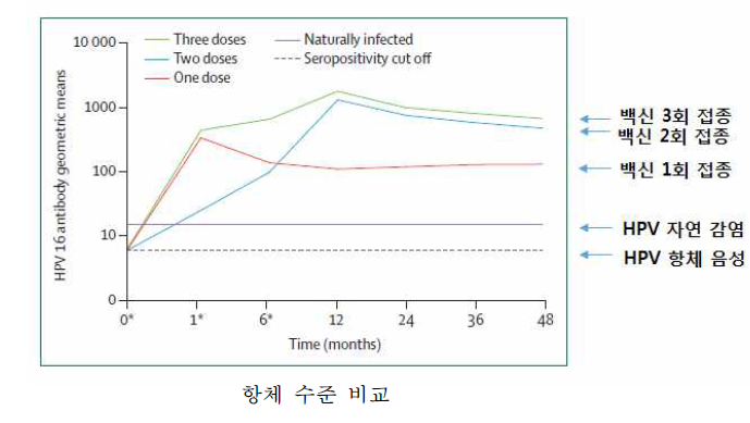 HPV 자연감염, HPV 음성 및 자궁경부암 백신 접종자의 혈충