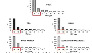 지역별 자궁경부암 발병에 관여하는 HPV 타입