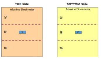 Alanine Dosimeter 부착 개념도