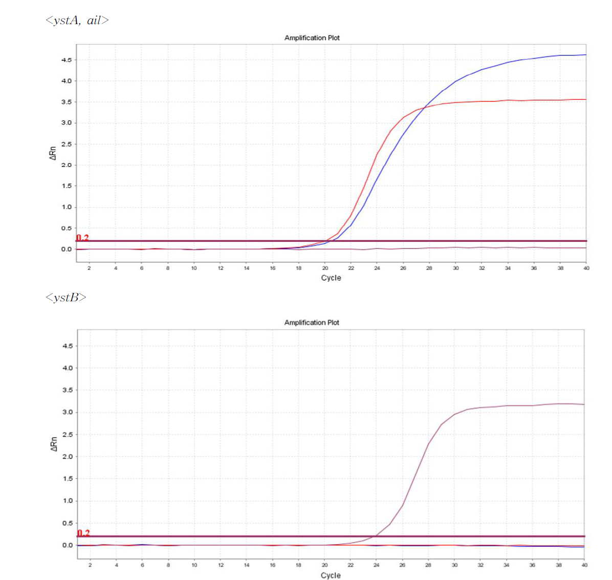 Real-time PCR을 통한 Yersinia enterocolitica의 표적유전자 증폭곡선