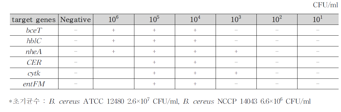 B. cereus 식품(샌드위치 2)접종 검출결과