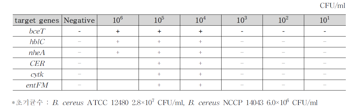 B. cereus 식품(샌드위치 3)접종 검출결과