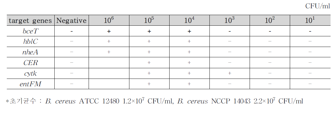 B. cereus 식품(샌드위치 4)접종 검출결과
