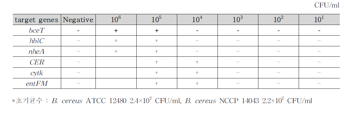 B. cereus 식품(샌드위치 5)접종 검출결과