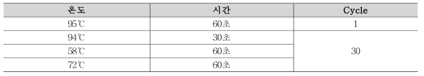 MRSA conventional PCR 조건