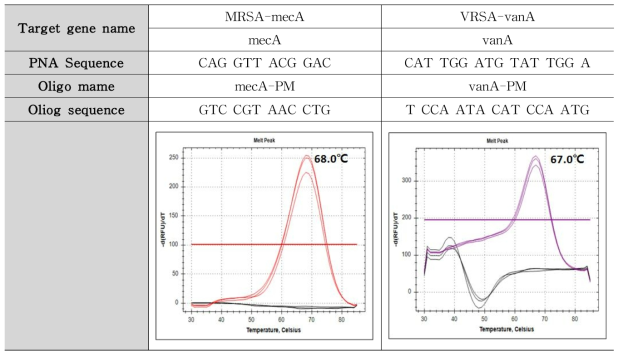 MRSA (mecA), VRSA (vanA) 타겟 유전자 Tm 측정 결과