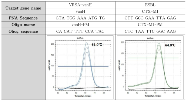 VRSA (vanH), ESBL (CTX-M1) 타겟 유전자 Tm 측정 결과