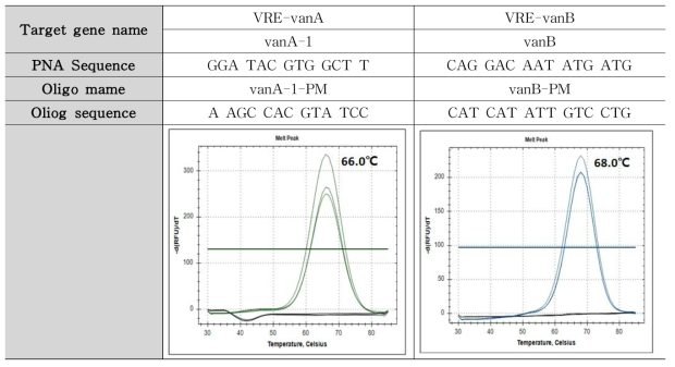 VRE (vanA, vanB) 타겟 유전자 Tm 측정 결과
