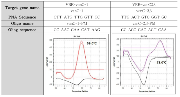 VRE (vanc-1, vanC2,3) 타겟 유전자 Tm 측정 결과