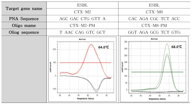 ESBL (CTX-M2, CTX-M8) 타겟 유전자 Tm 측정 결과