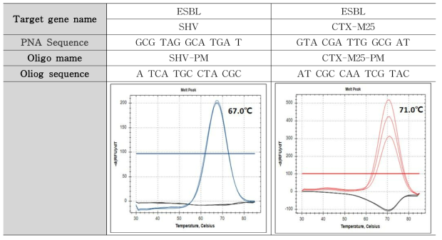 ESBL (SHV, CTX-M25) 타겟 유전자 Tm 측정 결과