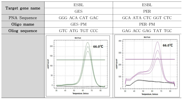 ESBL (GES, PER) 타겟 유전자 Tm 측정 결과