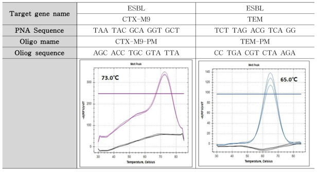 ESBL (CTX-M9, TEM) 타겟 유전자 Tm 측정 결과