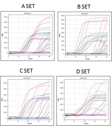 PNA probe multiplexing real-time PCR 결과