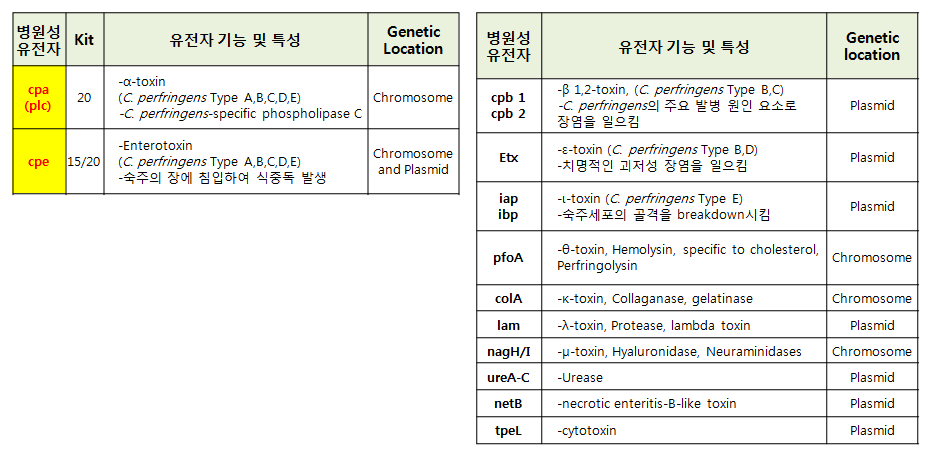 클로스트리디움 퍼프린젠스의 기존 검출 유전자(좌)와 추가 검토 유전자(우)