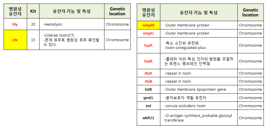비브리오 콜레라의 기존 검출 유전자(좌)와 추가 검토 유전자(우)
