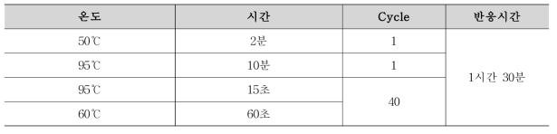 Real-time PCR 조건