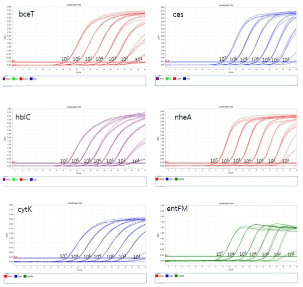 합성 DNA를 이용한 B. cereus Multiplex Real-time PCR target 유전자의 민감도