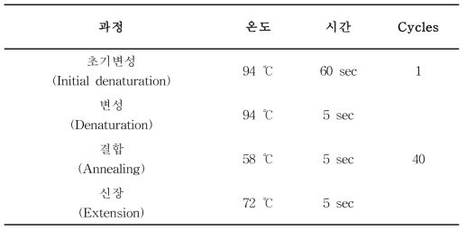 초고속 PCR 온도 조건