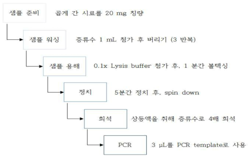 새우 DNA 신속 분리 방법 work flow