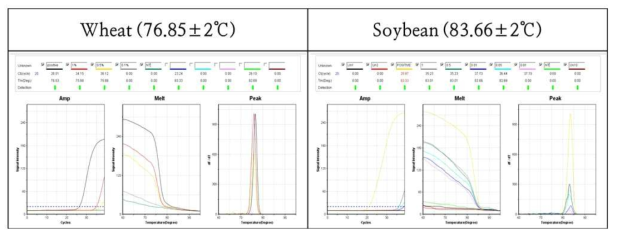 Direct PCR의 밀, 콩에 대한 검출한계치 결과
