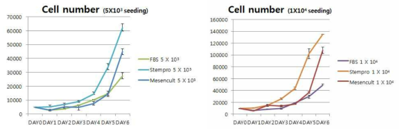 배양법에 따른 MSC의 세포증식율 변화 비교 분석