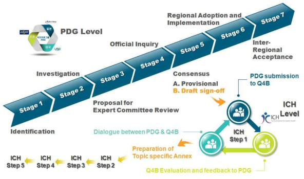 PDG 및 ICH 국제조화 단계