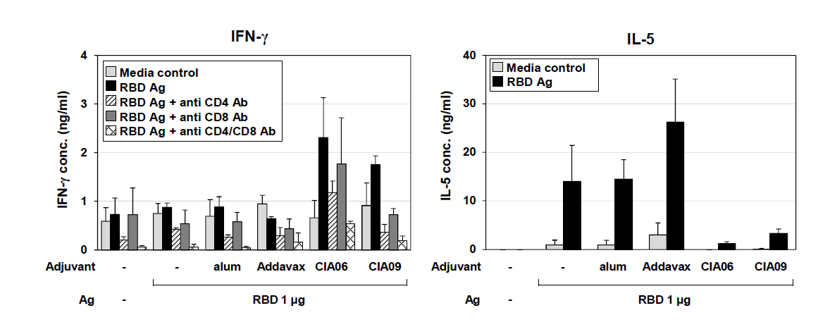 면역화한 마우스의 비장세포 내 RBD 항원 특이적 사이토카인 분비 분석