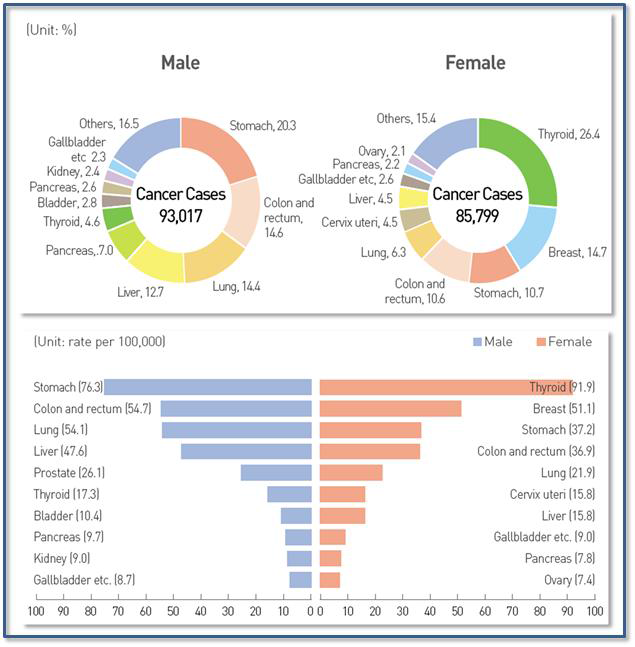 국내 암 발병 현황 >