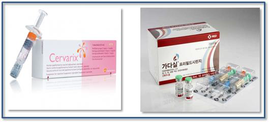 좌 서바릭스 (GSK, 2가 백신), 우 가다실 (MSD, 4가 백신)