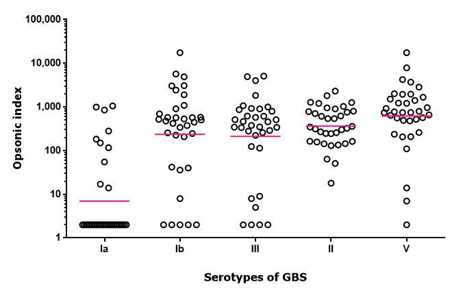 GBS 혈청형에 따른 opsonic index의 분포