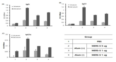 MERS-spike protein로 면역한 마우스에서의 특이 항체가 조사