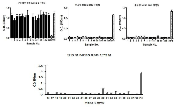 곤충세포 발현 MERS S 및 대장균 발현 RBD 단백질과 단클론 항체의 cross-reactivity