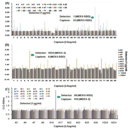 Detector와 capture용 단클론 항체를 다양하게 pair한 sandwich ELISA를 제작한 후 MERS-spike protein이 없는 well과 100 ng을 넣은 well과의 ratio를 통해 pair 선별