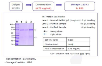 Dialysis & concentration