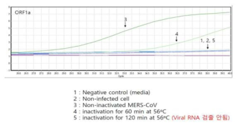 Real time RT-PCR을 이용한 MERS CoV ORF1a 유전자 검출