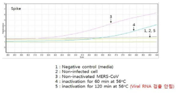 Real time RT-PCR을 이용한 MERS-spike검출