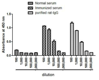 랫드에서 제조한 spike protein 면역혈청 indirect ELISA