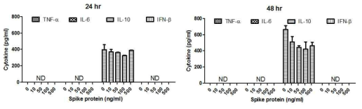 수지상세포에서 S protein의 효과