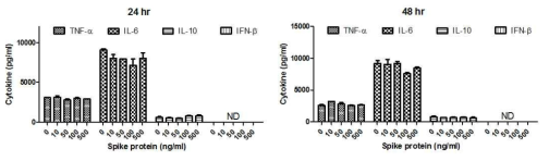 수지상세포에서 Poly I:C에 의한 사이토카인 분비에 S protein이 미치는 영향