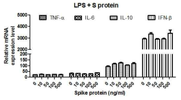 수지상세포에서 S protein 처리가 LPS에 의한 사이토카인 유전자 발현에 미치는 영향