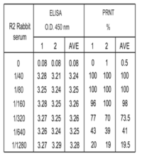 ELISA를 이용한 MERS 표준항체가 측정과 PRNT법의 비교