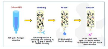 Antigen specific affinity purification