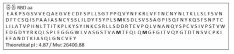 메르스 바이러스 S RBD 부분 아미노산 서열