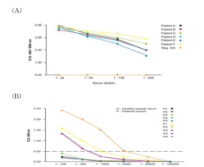 MERS spike protein을 활용하여 환자 혈청 내의 항체가 측정